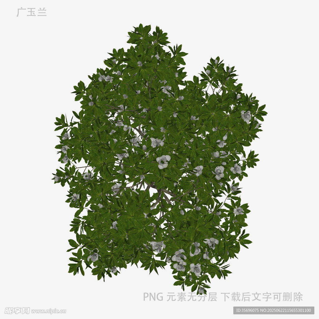 绿色繁茂树叶3D模型
