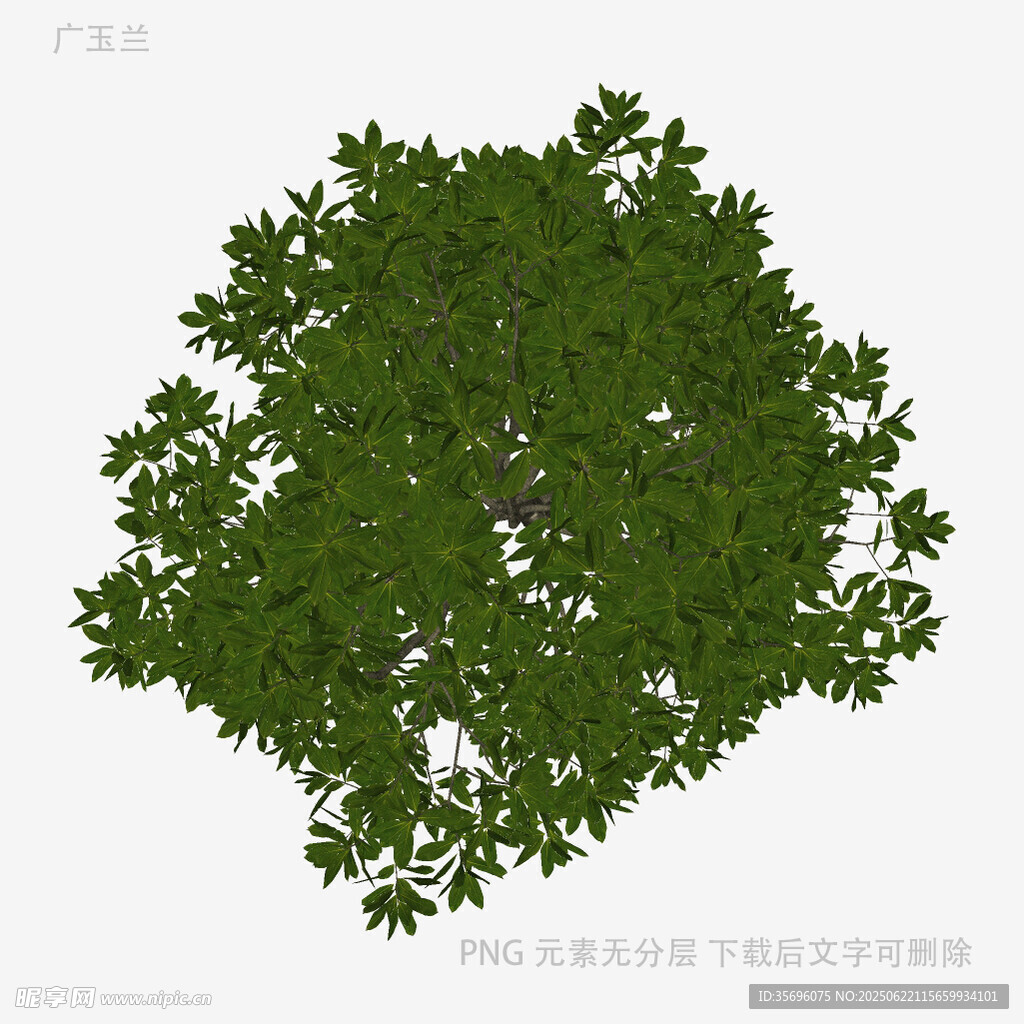 绿色茂盛单棵树木模型
