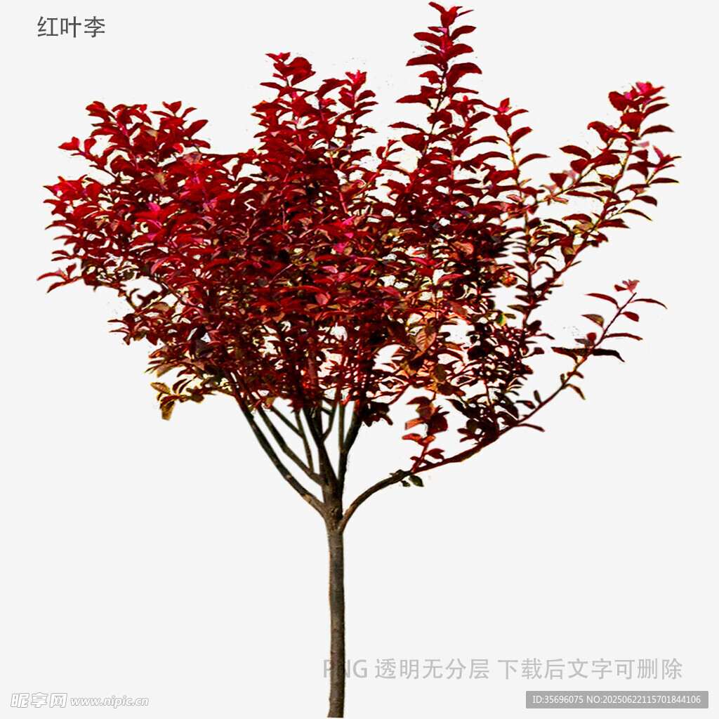 红果满枝的精致树木模型