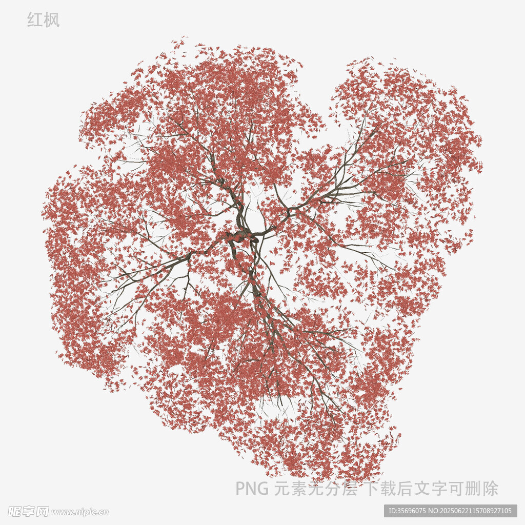 心形红叶树艺术插画