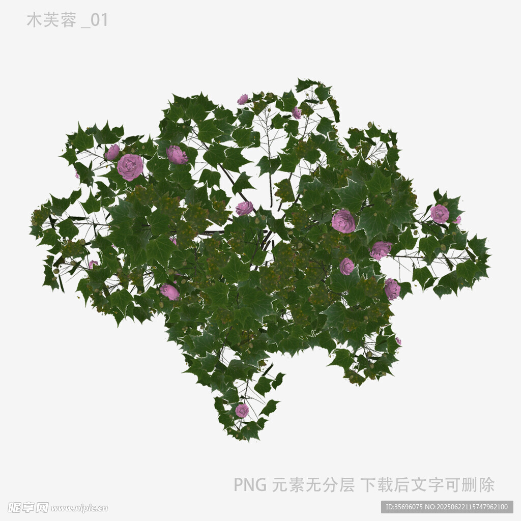 绿叶紫花植物3D模型