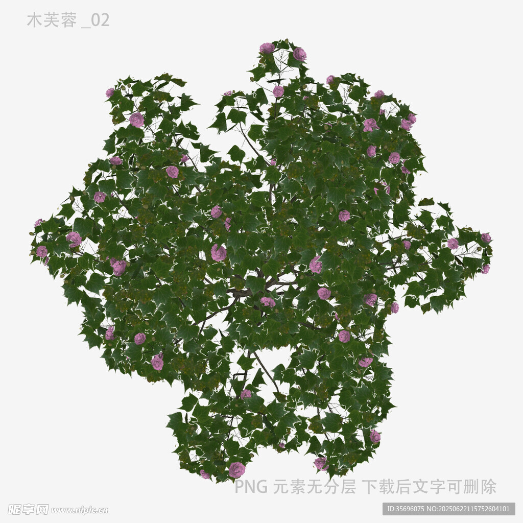 茂盛绿植带粉色小花