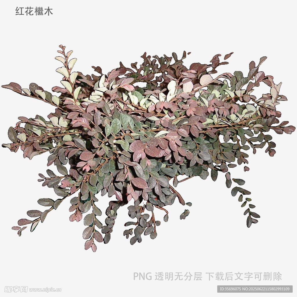 复古风植物装饰摆件