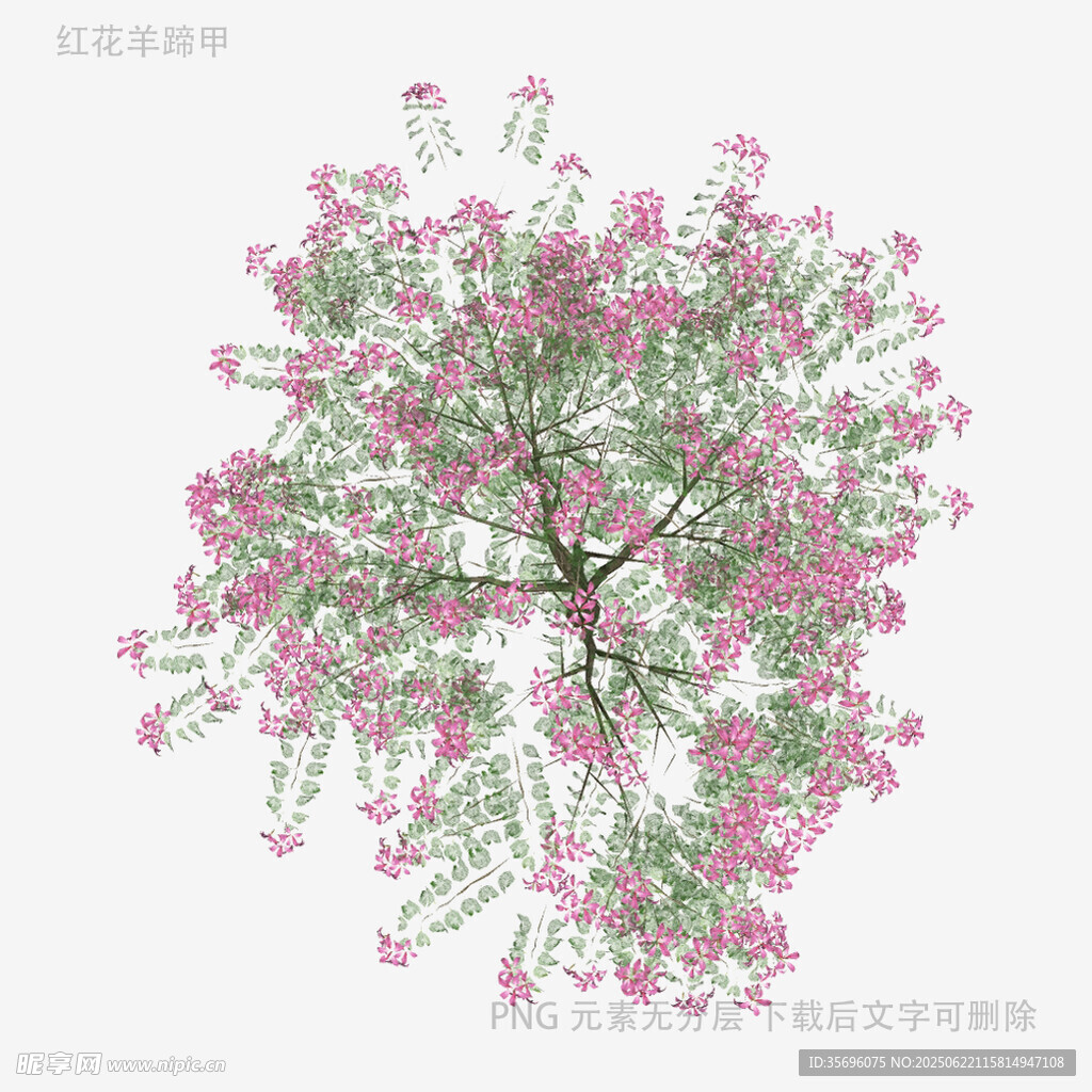 梦幻粉色花卉树状图案