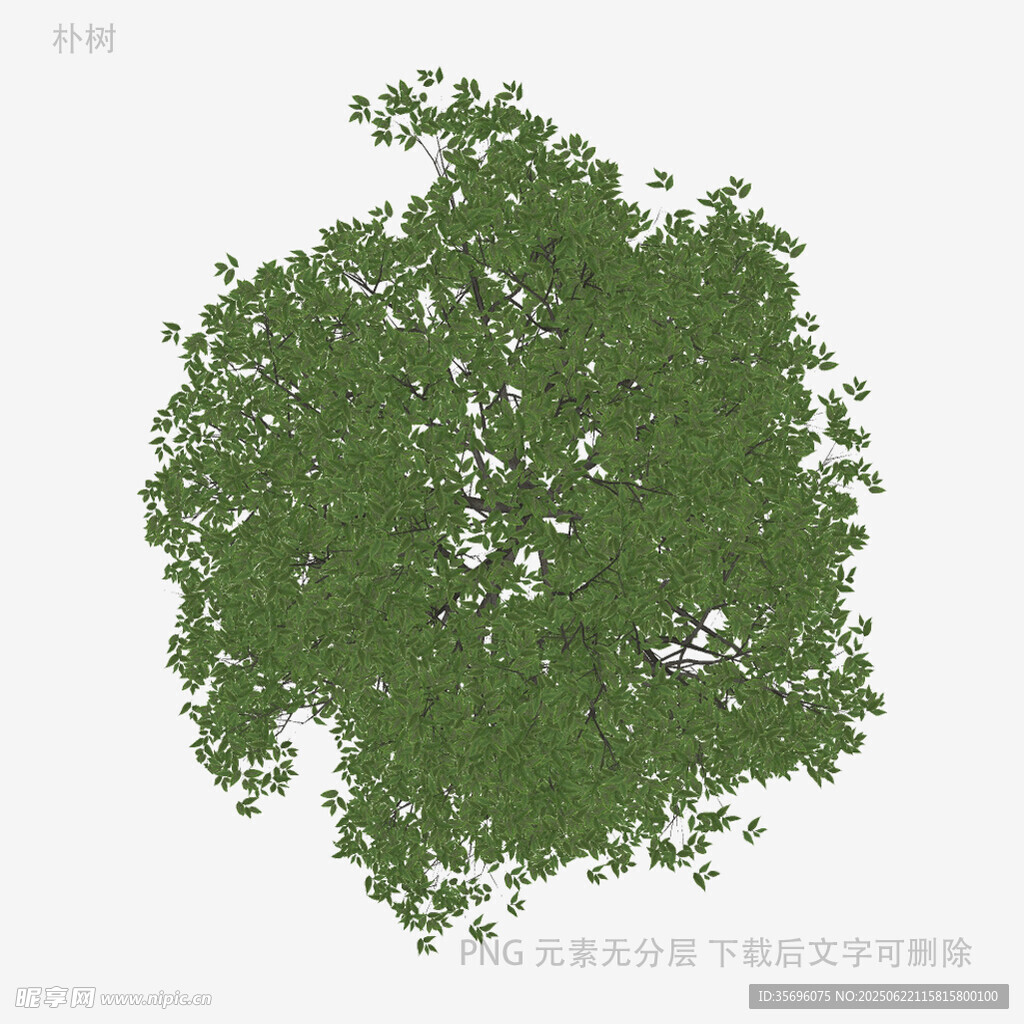 绿色繁茂树木3D模型