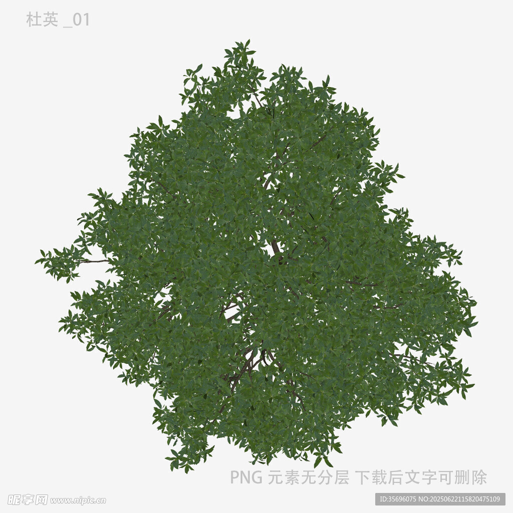 绿色茂盛树木3D模型