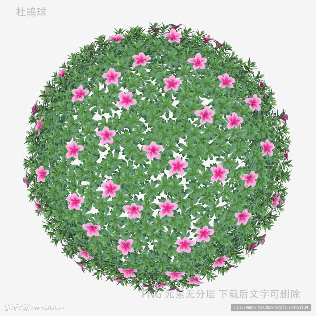 圆形花丛景观