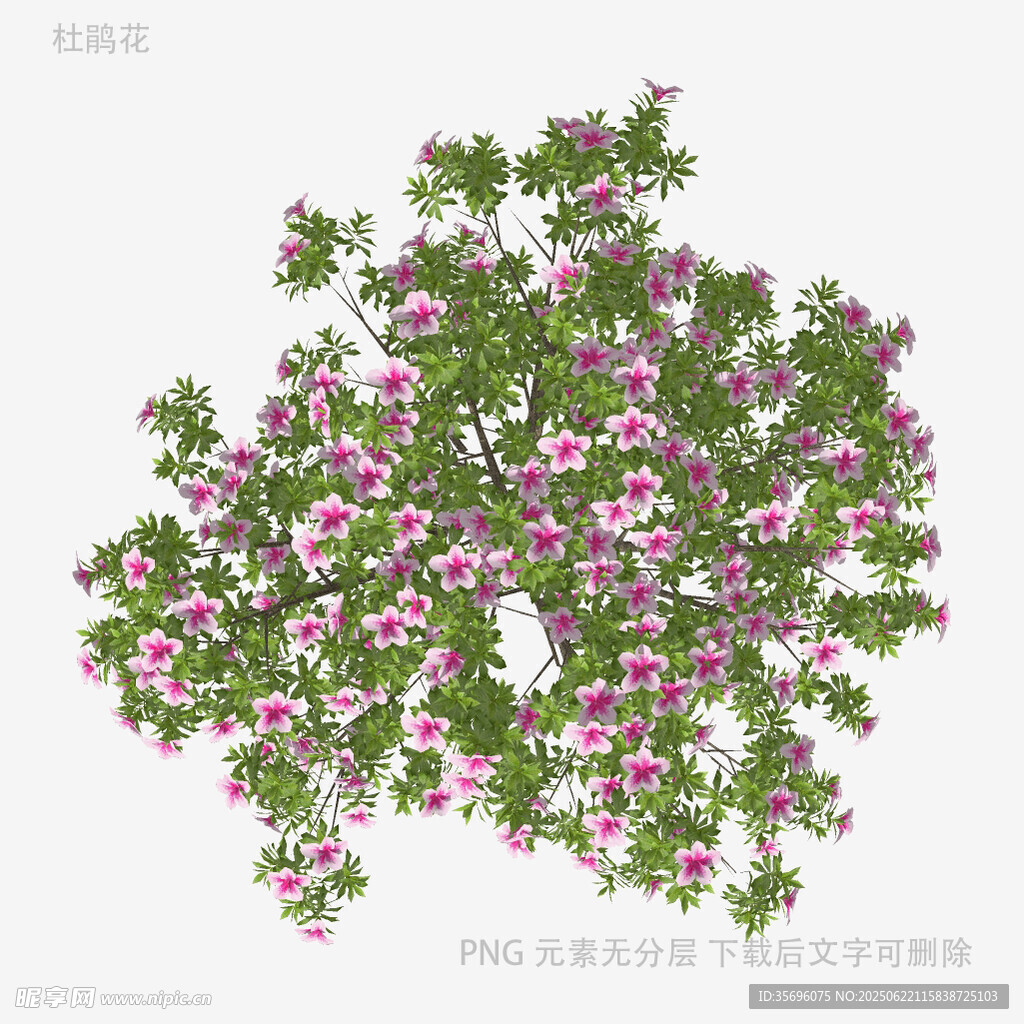 粉色繁花绿植3D模型