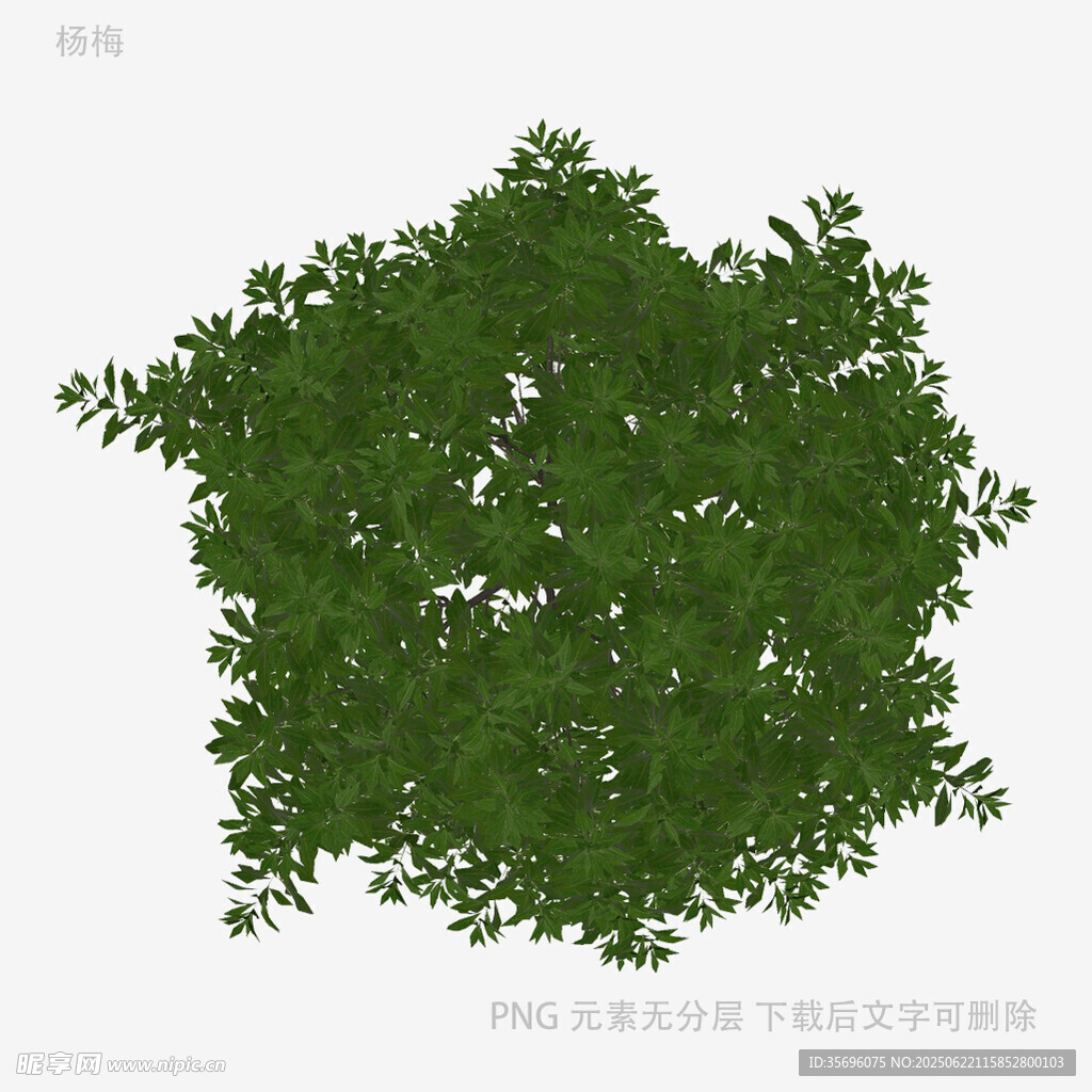 绿色茂盛树木3D模型