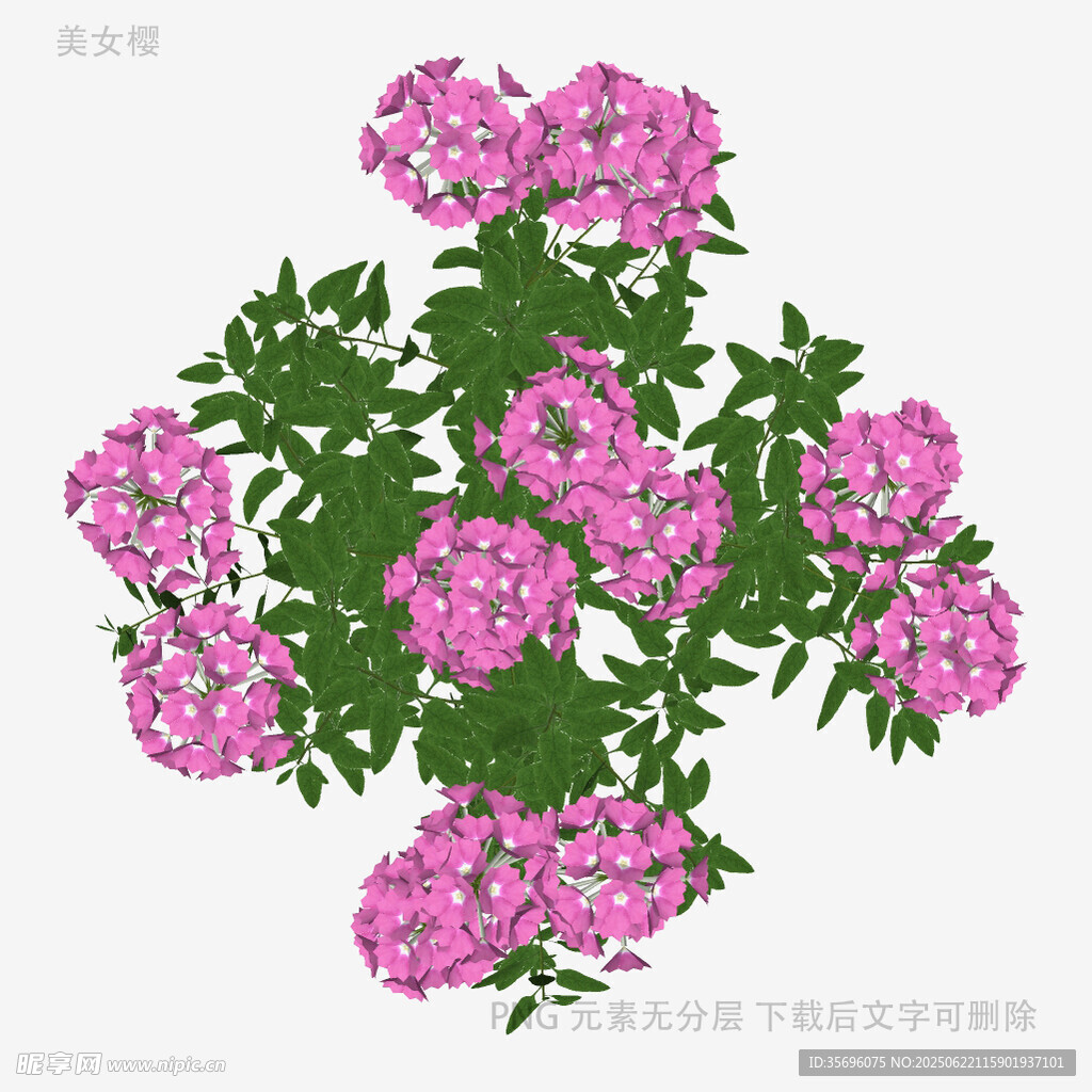 粉色花卉植物插画图案