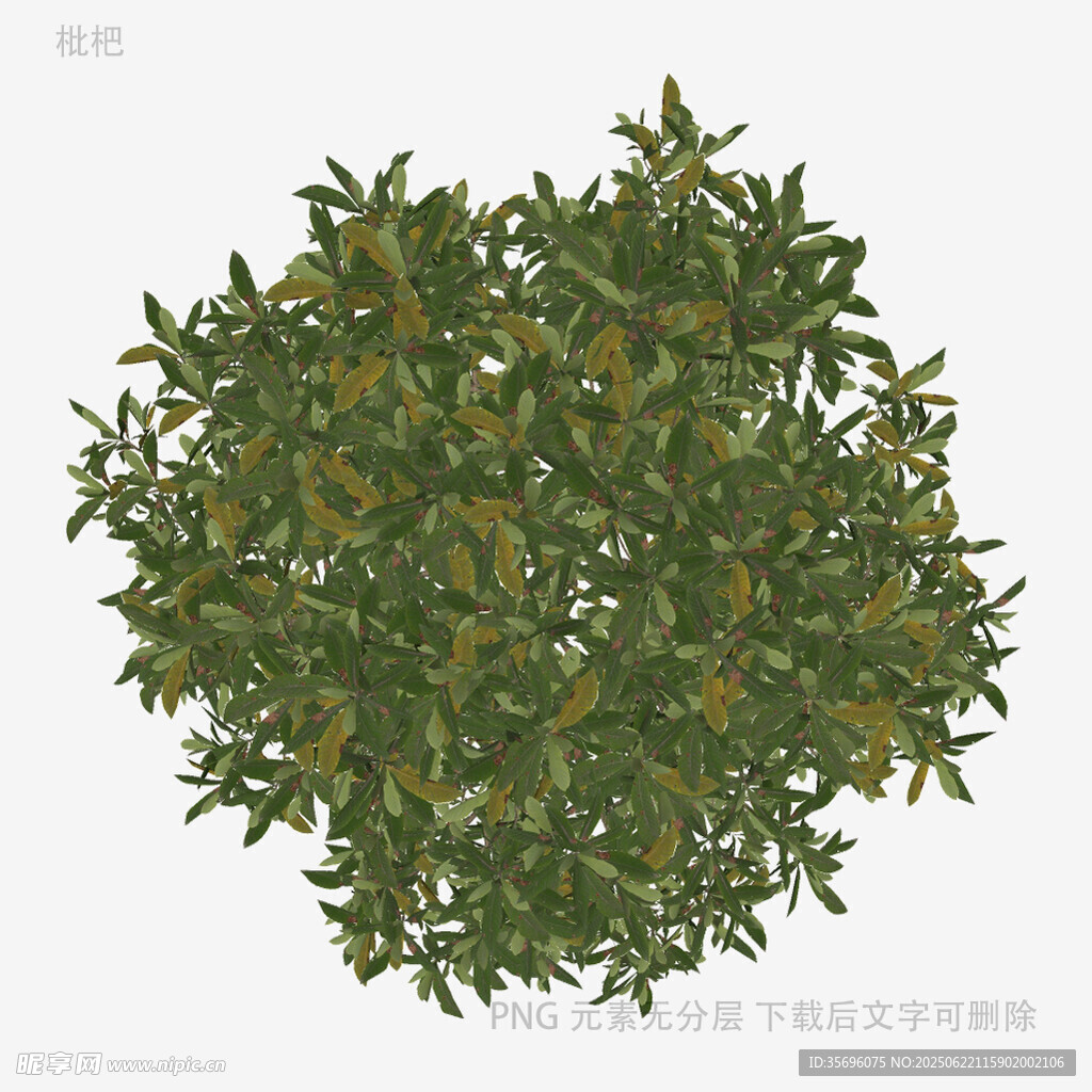 球形绿植景观
