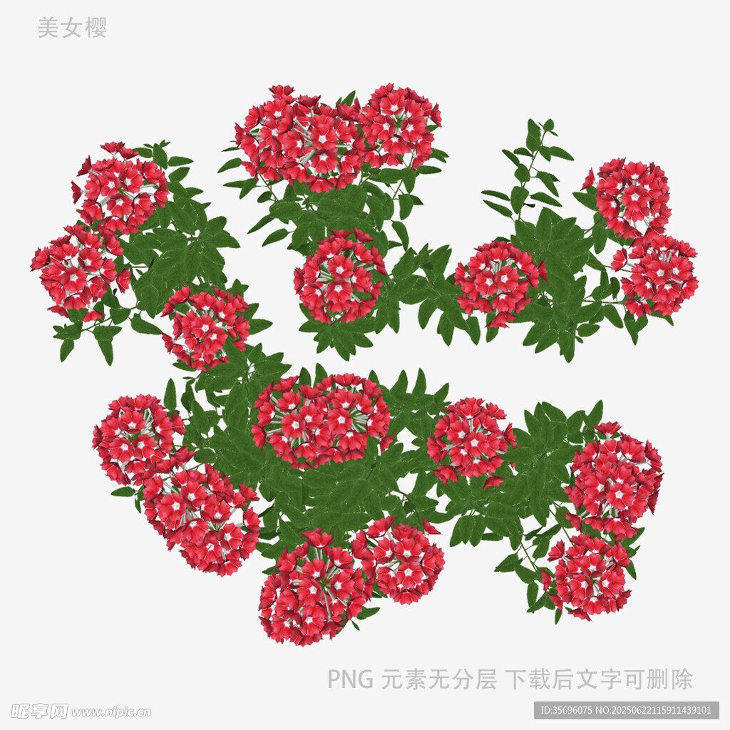 手绘红色花卉植物图案