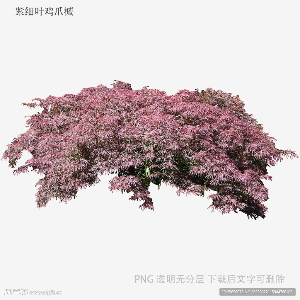 粉色繁花树木3D模型