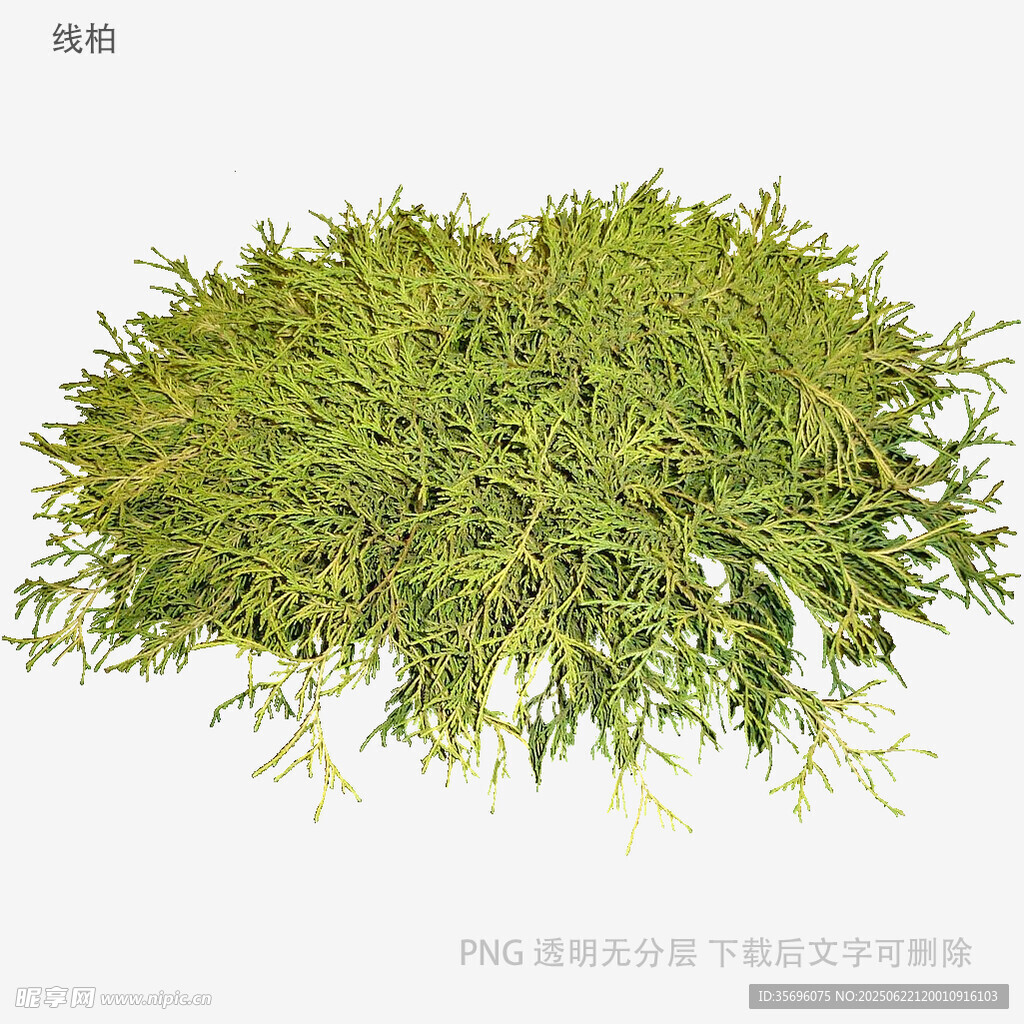 翠绿茂盛的草堆