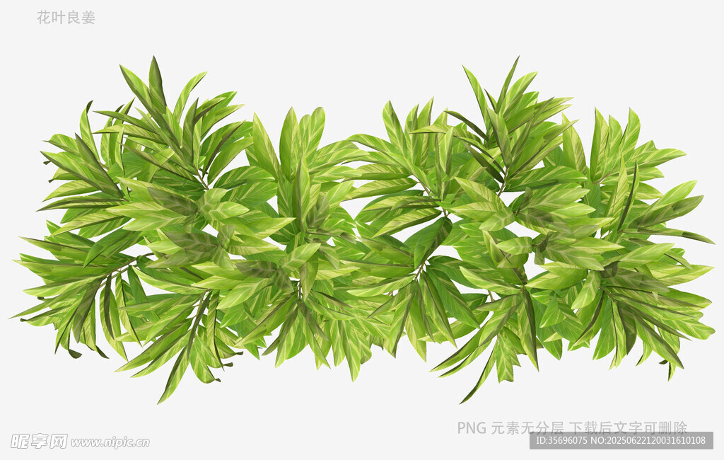 清新绿植叶片图案