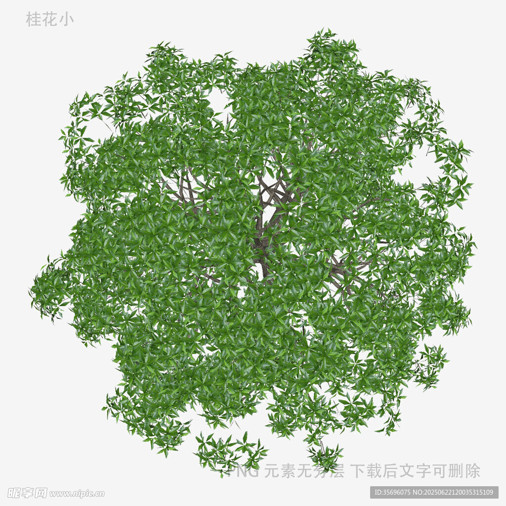 3D立体绿树模型
