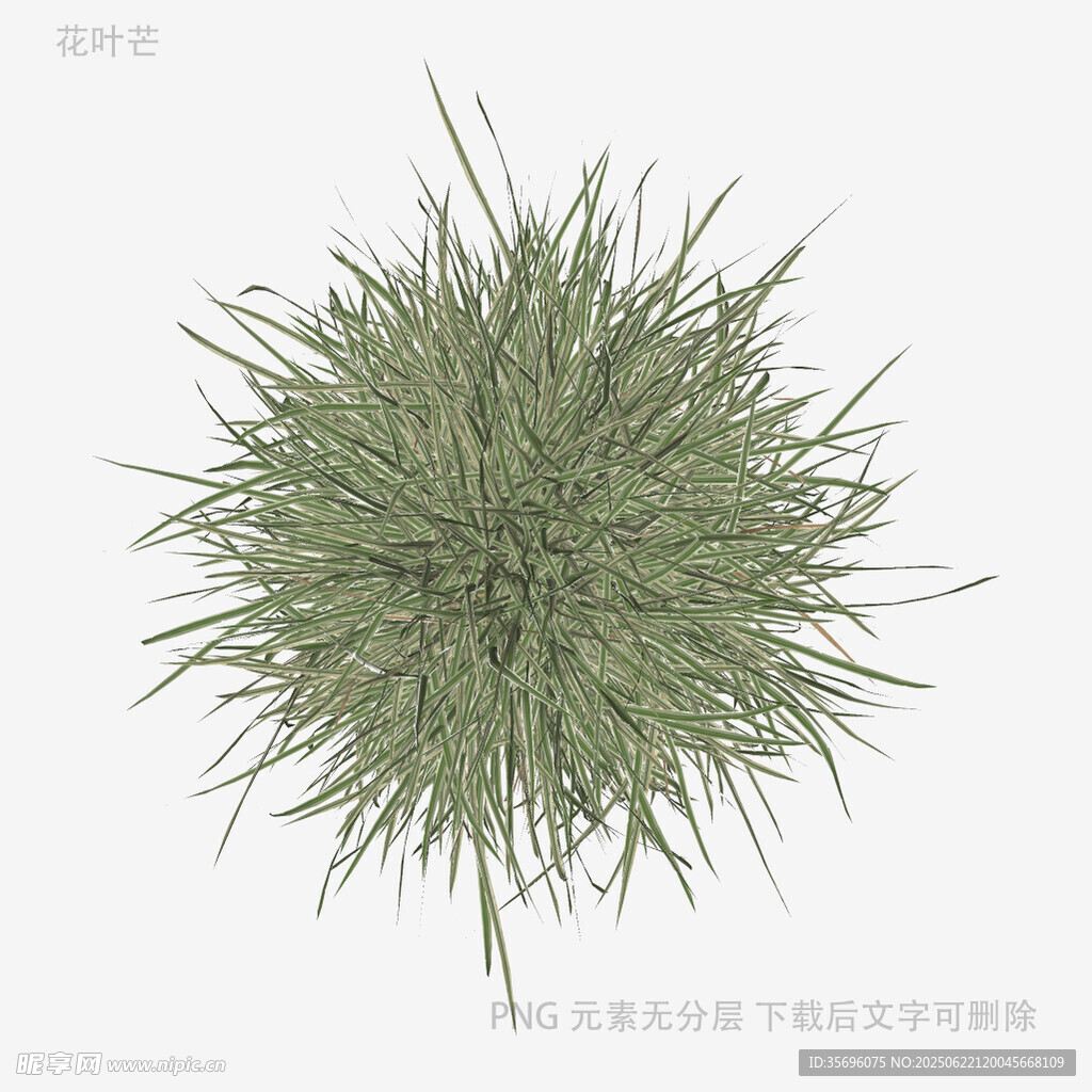 绿色蓬松草球植物模型
