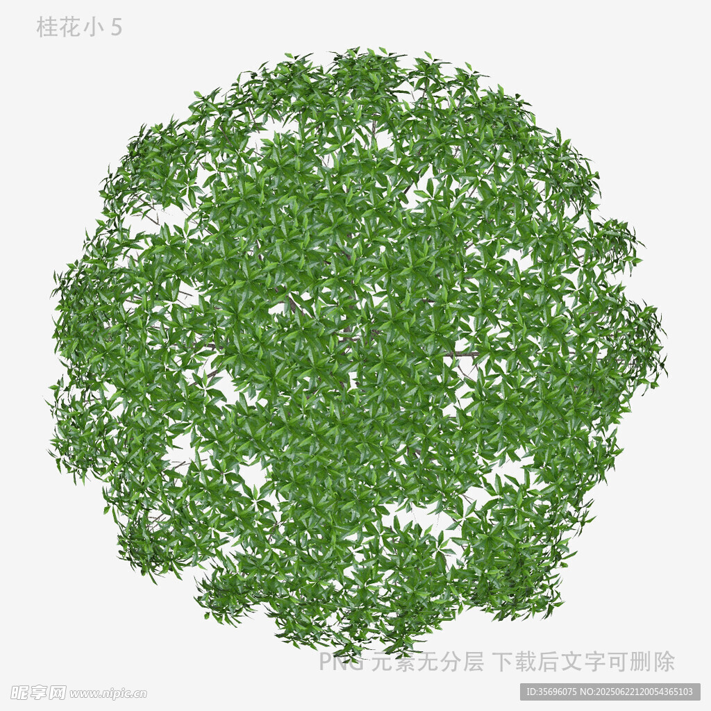 圆形绿植顶视图