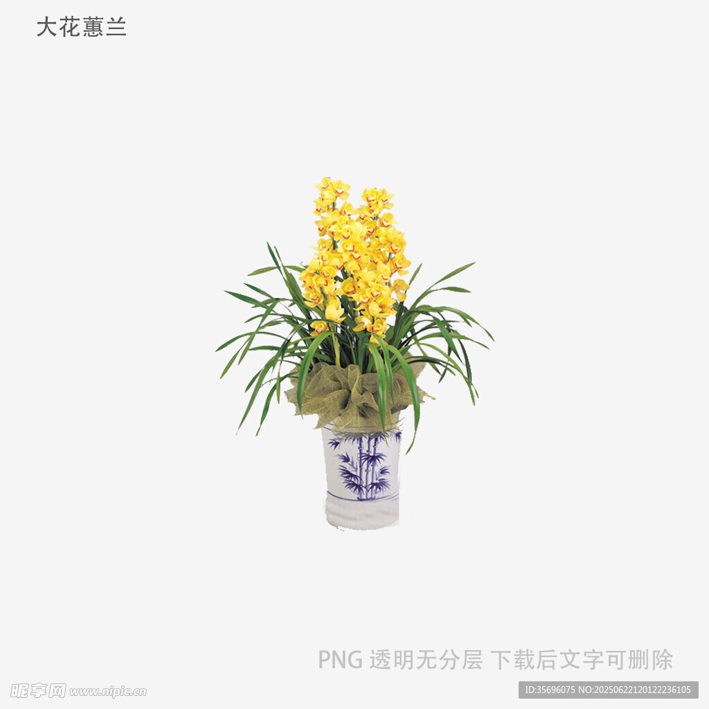 青花瓷盆中的黄色花卉
