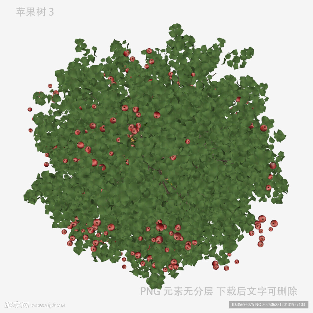 绿叶间点缀红色果实