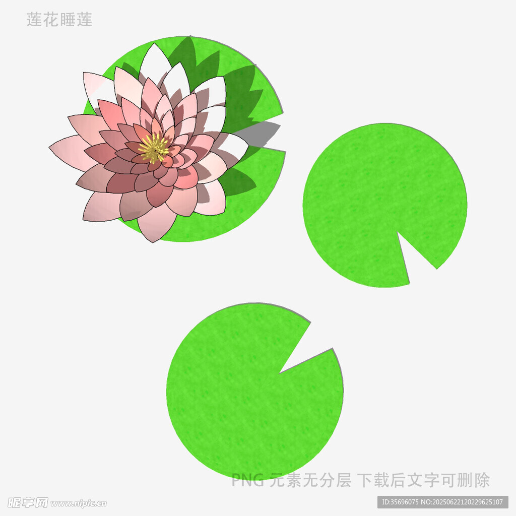 荷花与荷叶图案设计