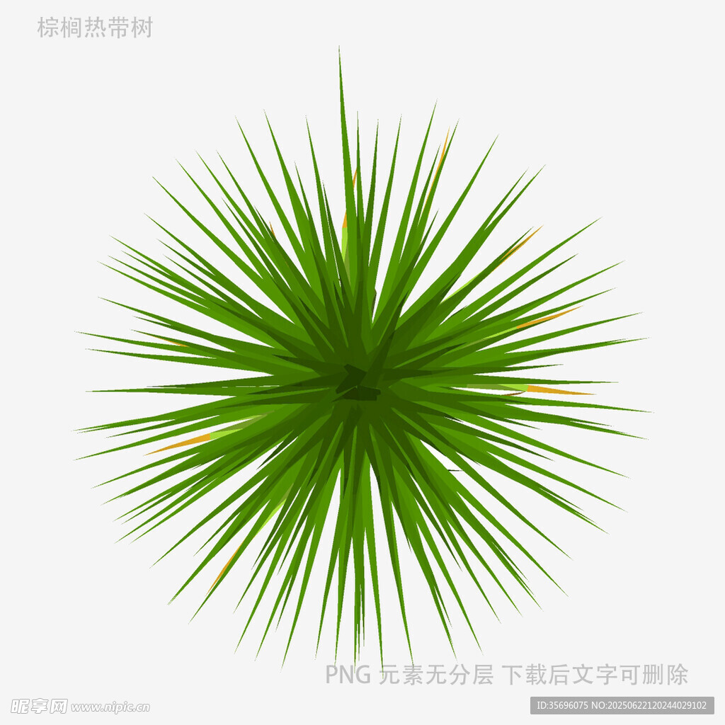 绿色放射状植物图形元素