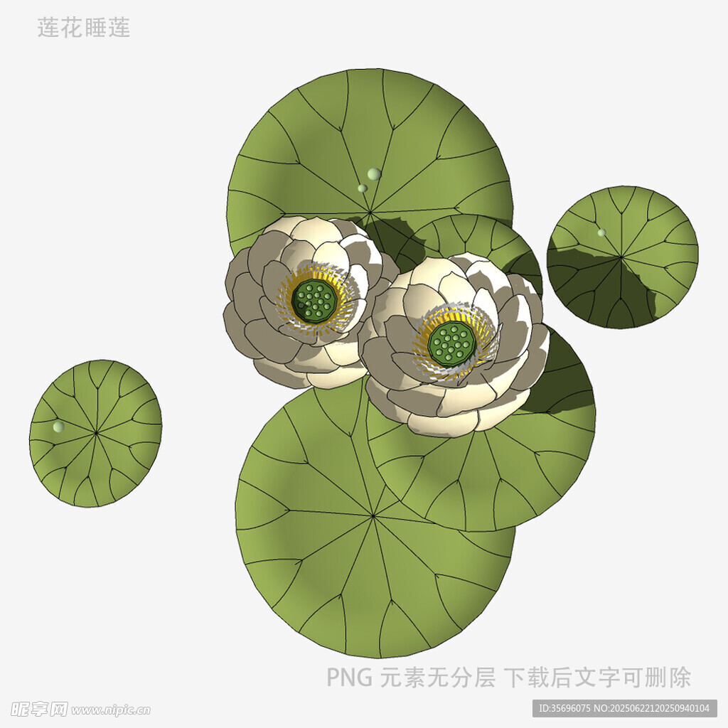 荷叶上的精致金属饰品