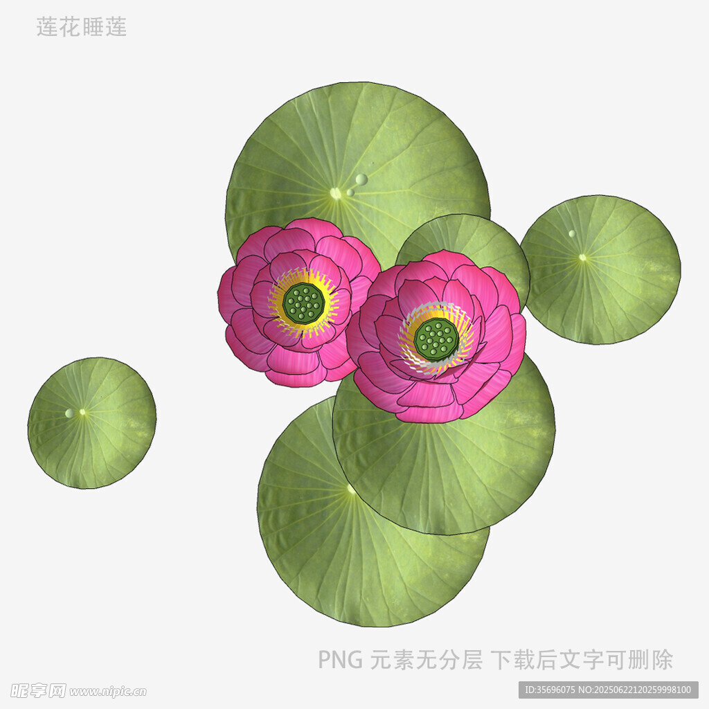 粉色花朵与绿叶插画图案