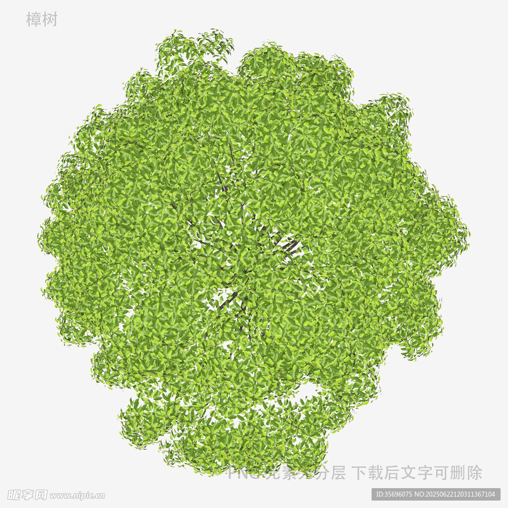 俯视视角绿色茂密树冠图