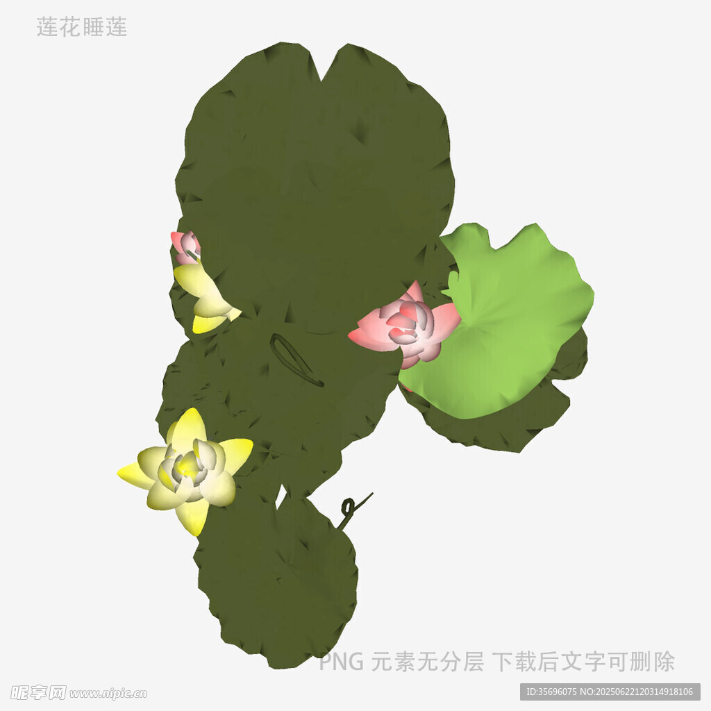 水墨风荷花荷叶插画