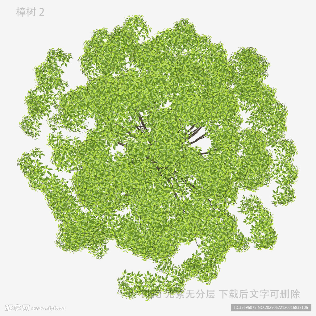 俯视视角的繁茂绿树