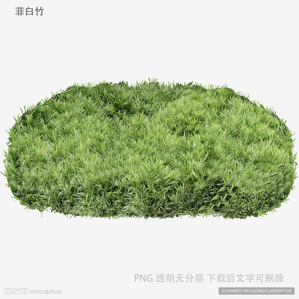 椭圆形绿植模型