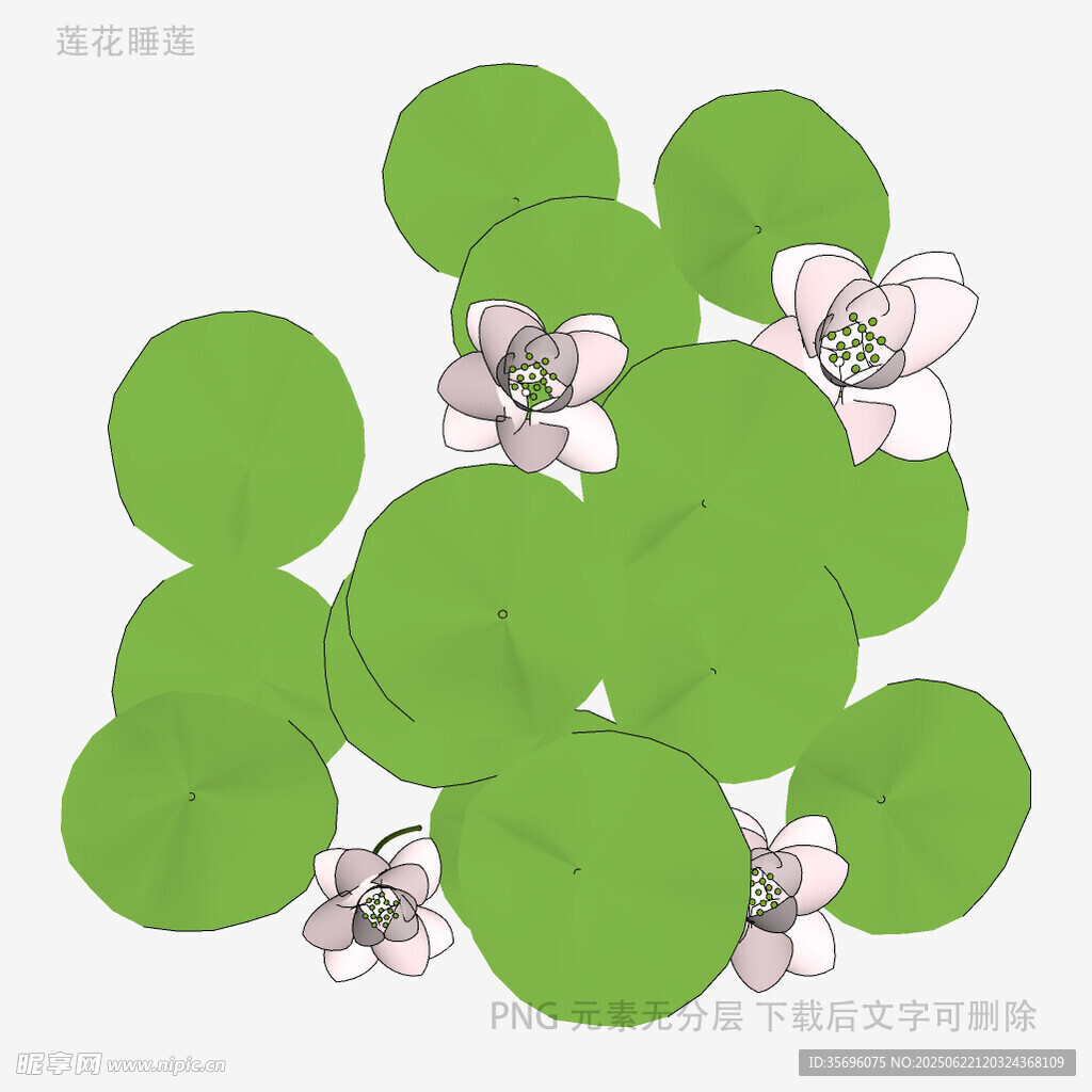 水墨风荷叶荷花插画