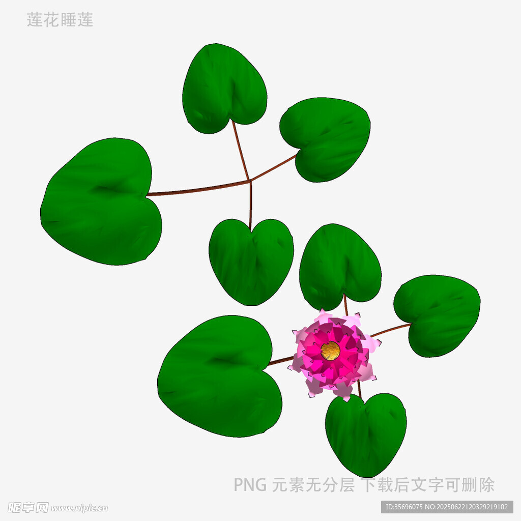 心形绿叶间的娇艳小花