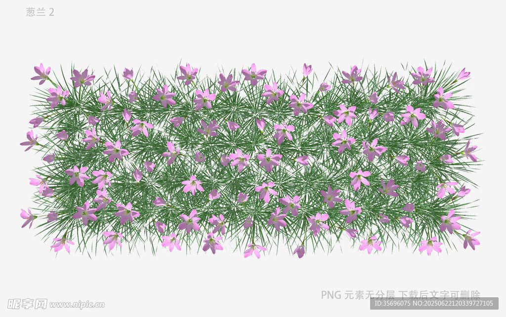 紫色花卉绿植墙装饰图案