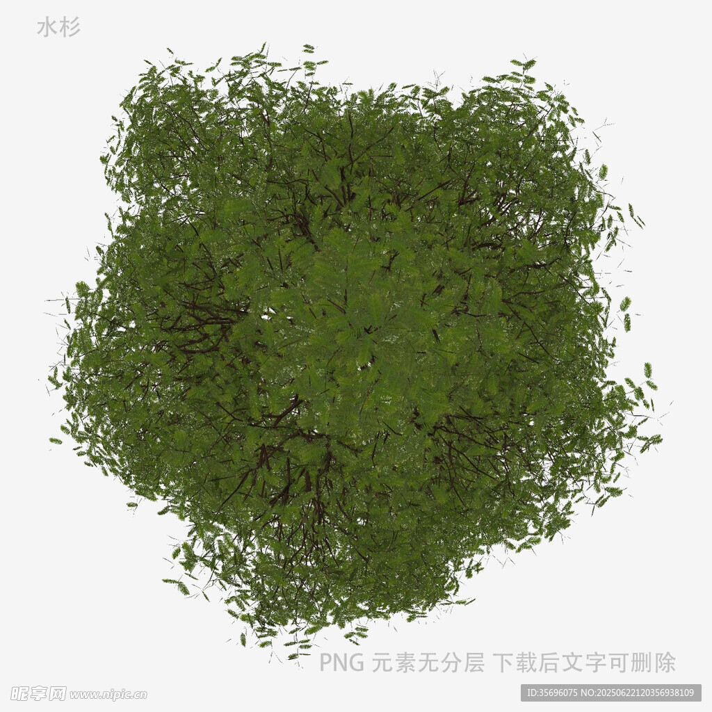 俯视视角绿色灌木模型