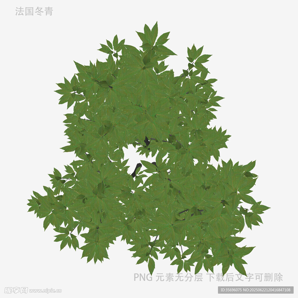 绿色繁茂树叶植物图案