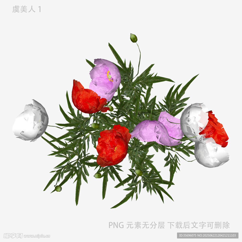 多彩花卉插画