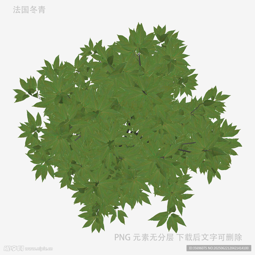 茂密绿植树冠图