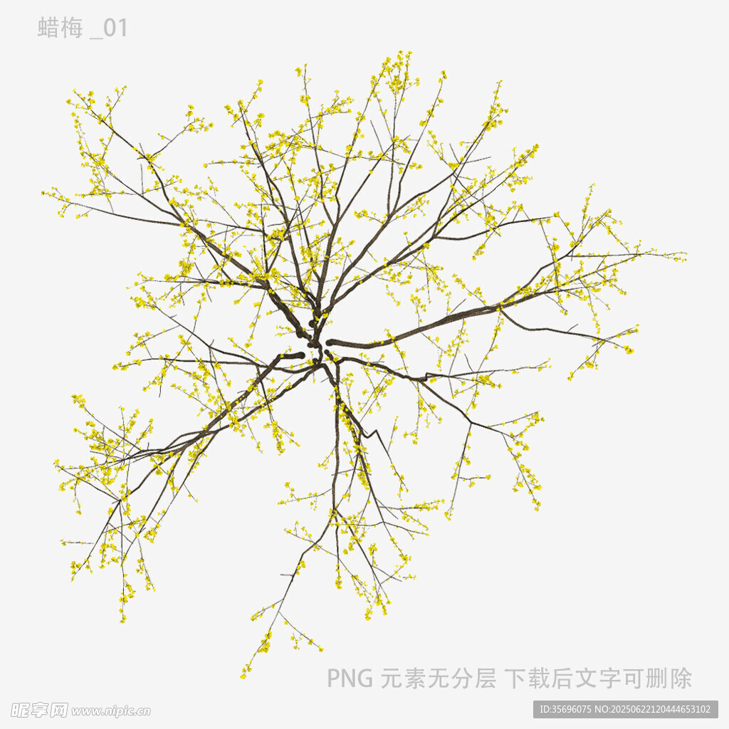 枝头绽新黄的简约树木图