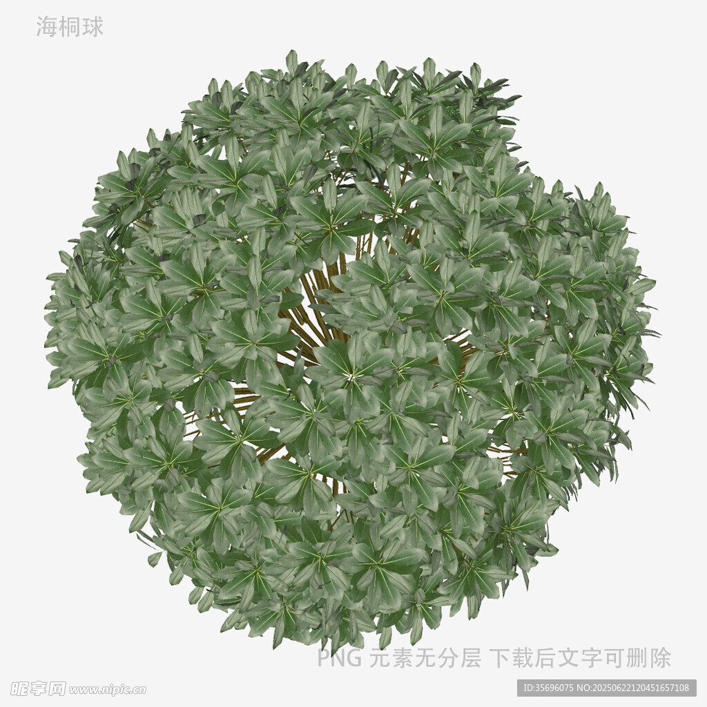 圆形绿植灌木俯视图