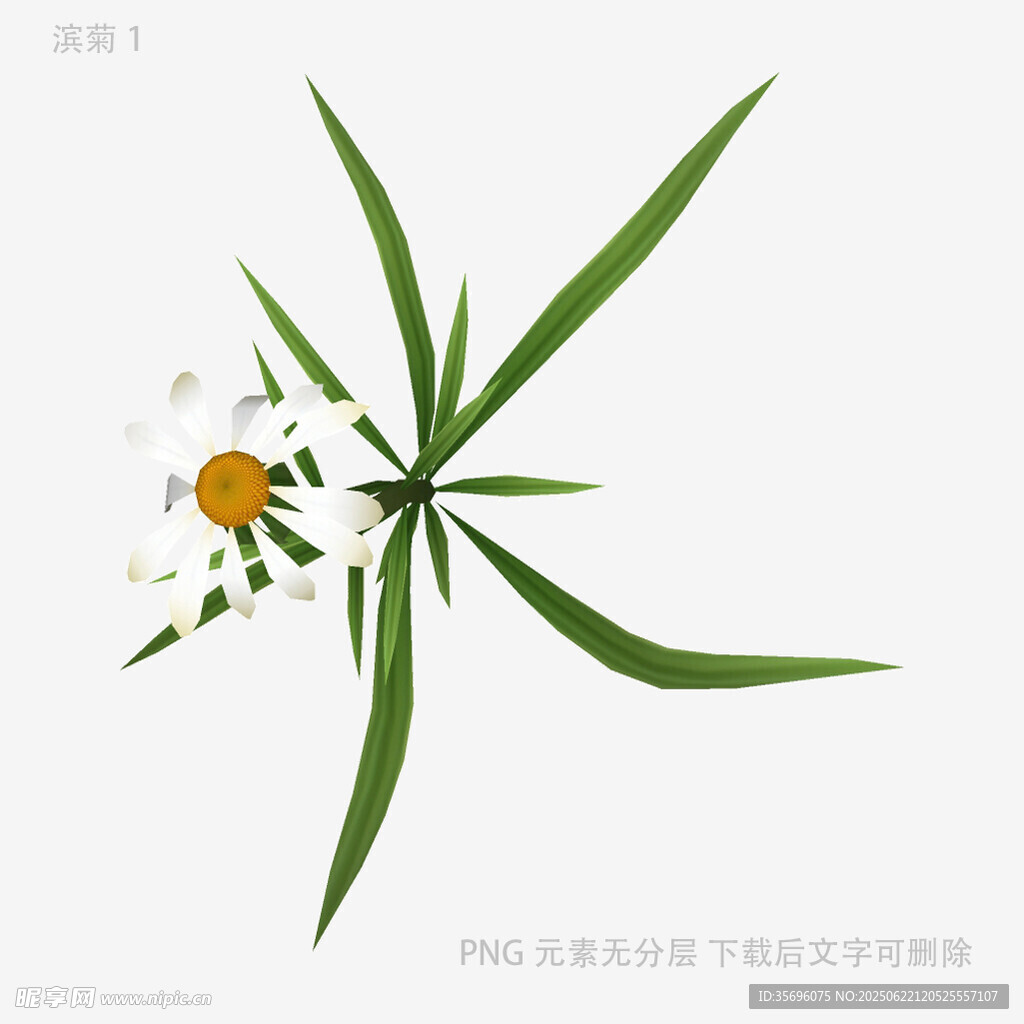 清新芦荟插画