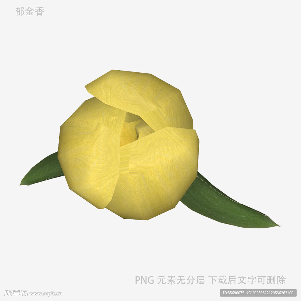 黄色花朵3D模型展示