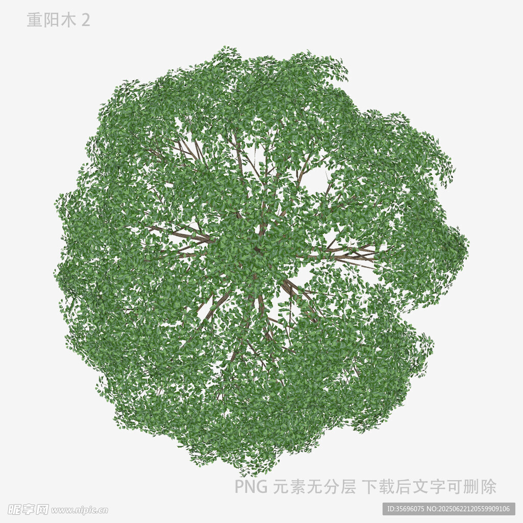 俯视视角茂密绿树3D模型