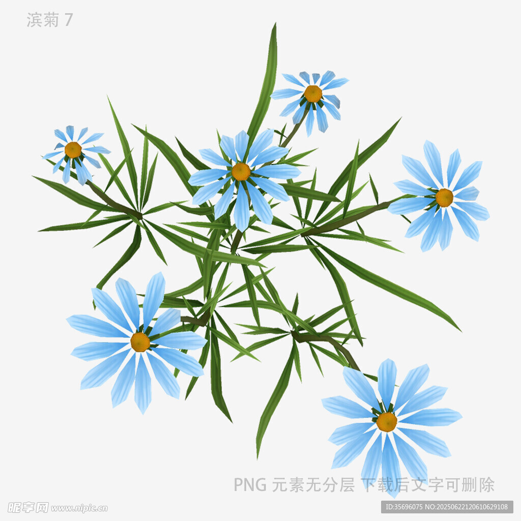 蓝色小花植物插画