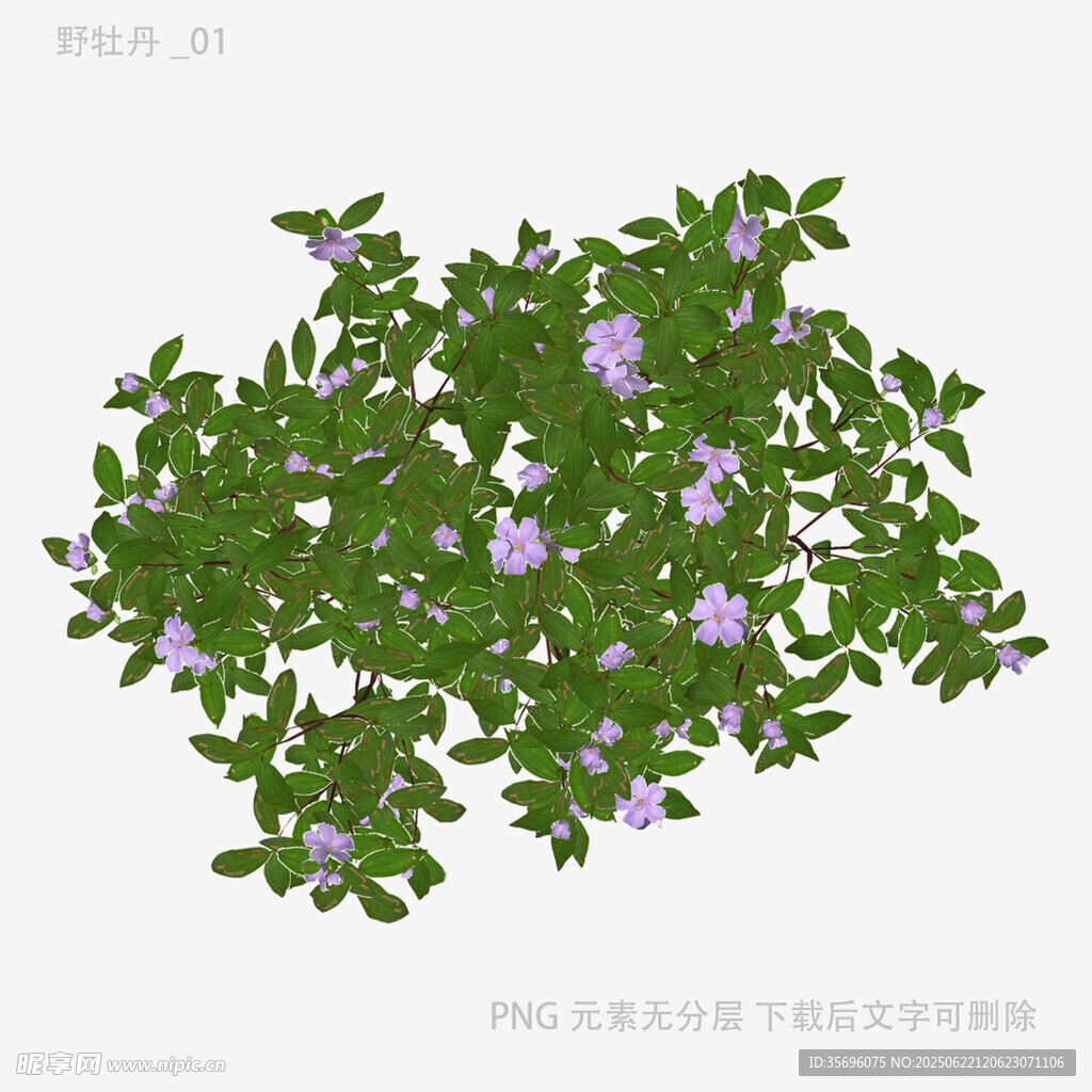 紫色小花绿植3D模型