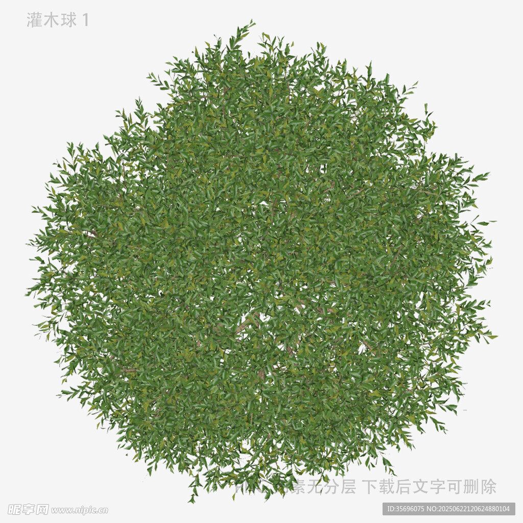 圆形绿植灌木效果图