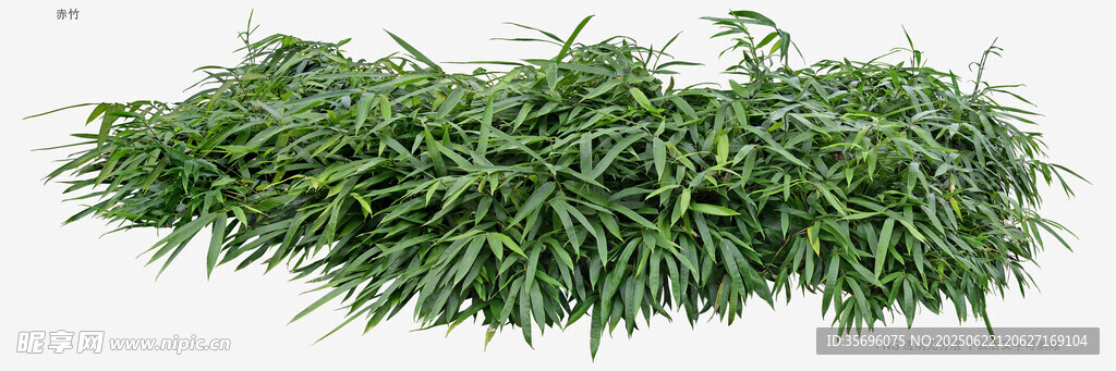 翠绿茂盛的青草