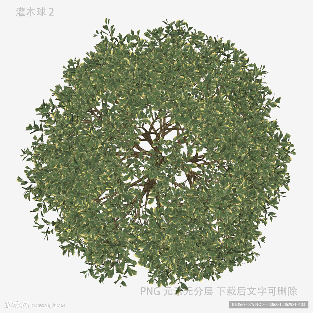 圆形茂密绿树3D模型