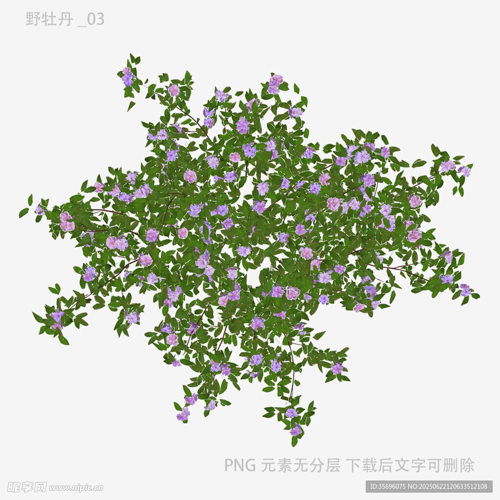 紫色小花绿植3D模型